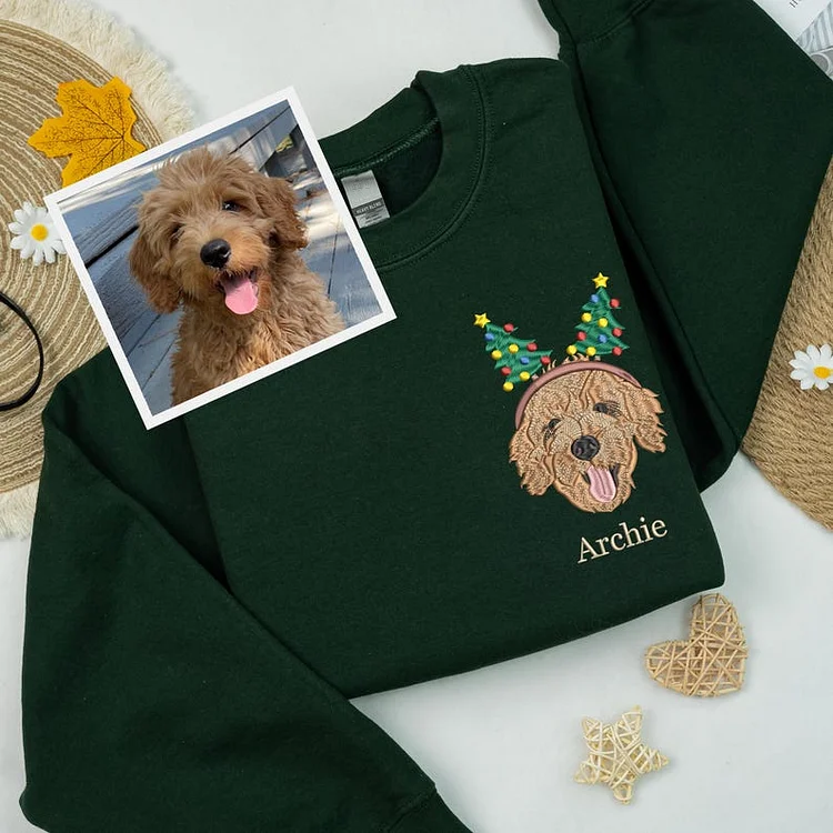 Custom Christmas Pet Face Embroidered Sweatshirt Hoodie For Pet Lovers, Dog Cat Horse Bunny