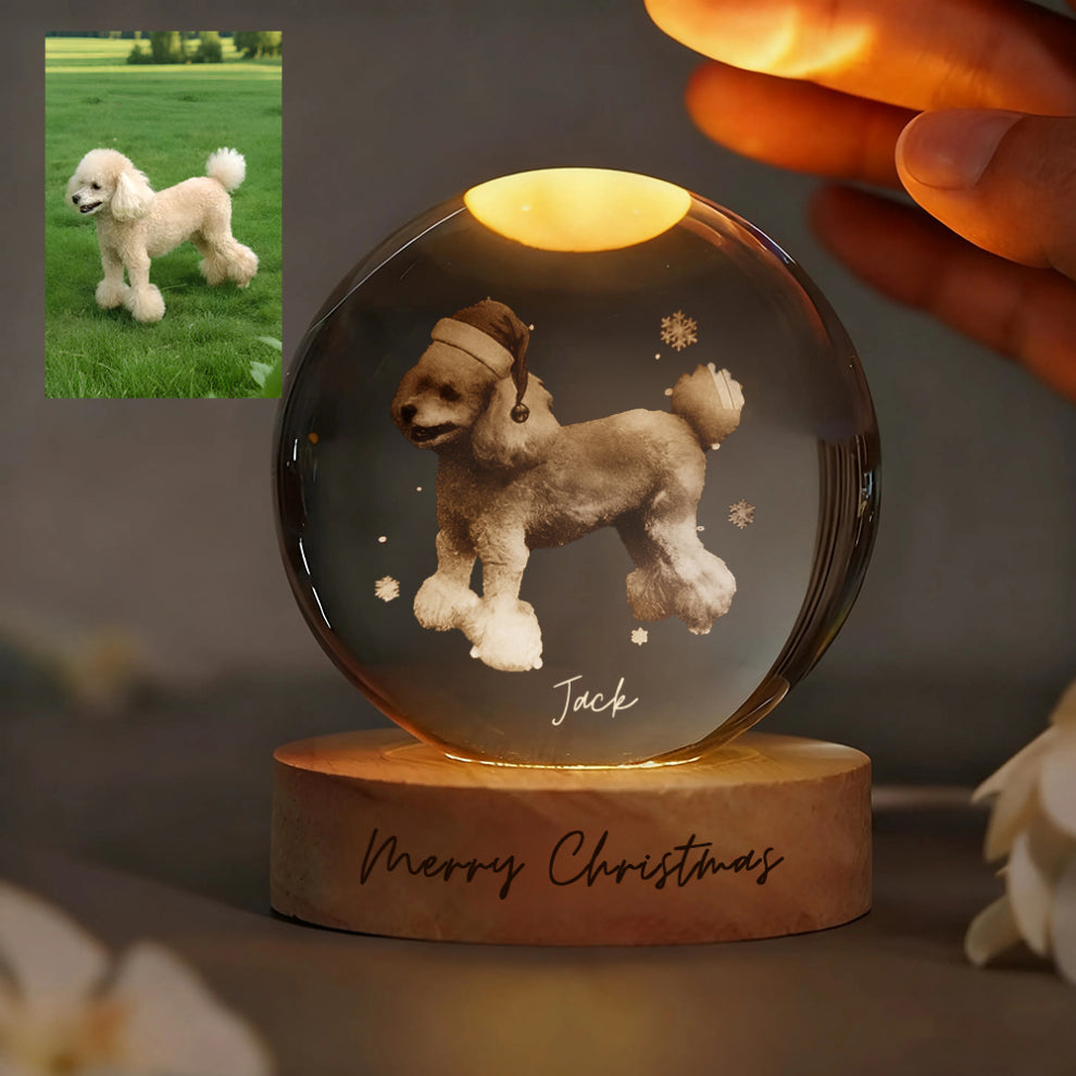 Custom Pet Photo Sketch Style Christmas Atmosphere Crystal Ball Lamp