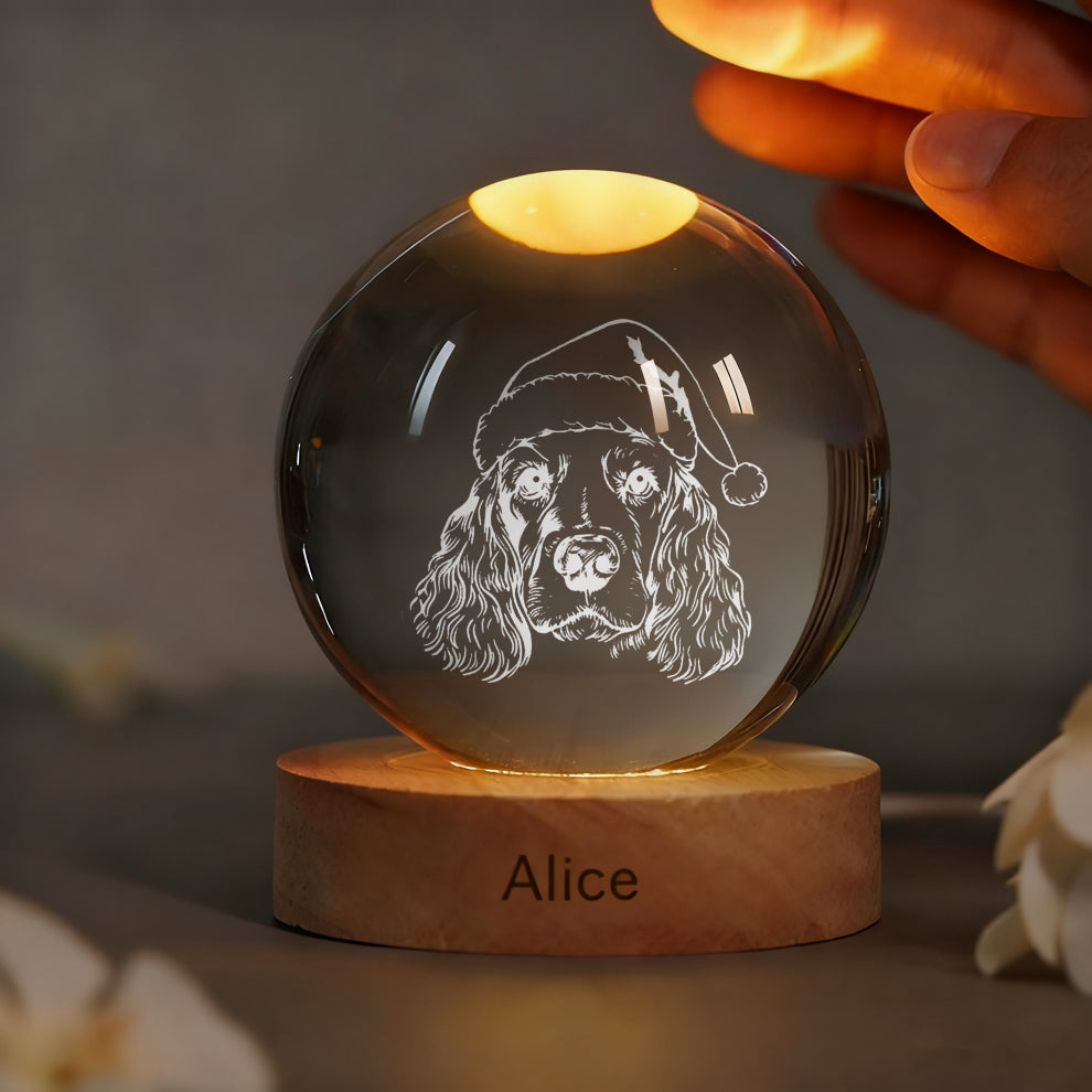 Custom Pet Photo Sketch Style Christmas Crystal Ball Lamp