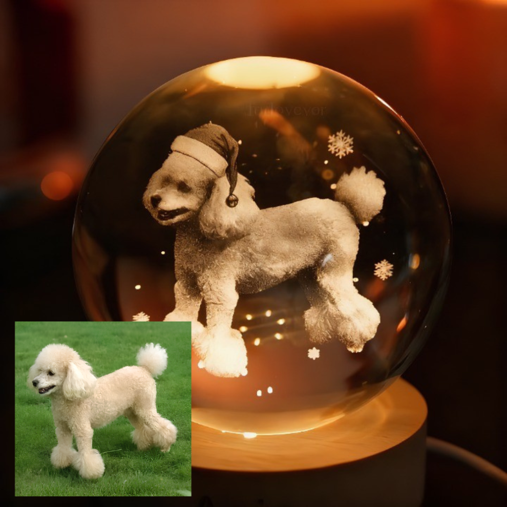 Custom Pet Photo Sketch Style Christmas Atmosphere Crystal Ball Lamp